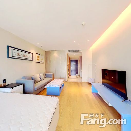 整租·海河大观 1室1厅 西