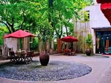 百年银杏院落独栋丨带超大院子丨闹中取静可挂LOGO丨业态不限