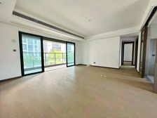 华侨城万科泊岸.洋房开发商精装.未入住.不靠马路近站小