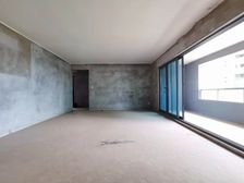 茶园轻轨站大户型洋房 业主急售 看房方便 门口轻轨 户型方正