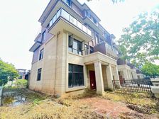 金地四期 靠山临湖别墅 业主土建全部做好 有电梯井 价格可谈