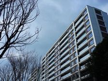 花园小区询盘急售,绿城晓风印月 156万 4室2厅2卫 毛坯