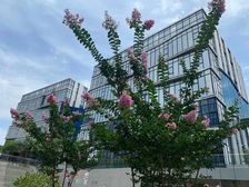 11号线康桥创智空间独栋整层出租 带装修环境好随时看房