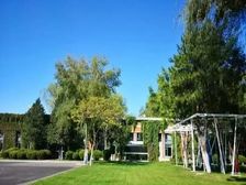 酒仙桥恒通商务园1000平独栋可分割 花园式办公 特价出租