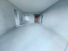 凤凰台 近 商业街旁 临深超值大平层 单价低 户型方正