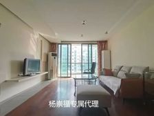 业主诚售,高楼层,满五,税少,小区在售不多房源之一,有车位!