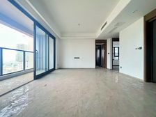 急急急!!! 精装交付 无软包 ...