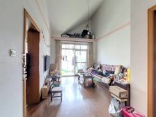 金运路地铁口(火爆新上)小洋房复式买一层送一层,价格好沟通