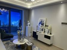 新区狮山览月阁 工抵房 精装修 高品质小区 价格可以谈 急售