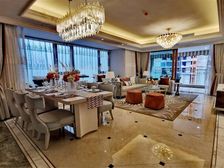 江北嘴核心精装修看江大平层 集核位置 配套成熟