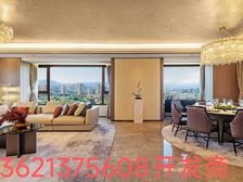 西三环实景现房,丽泽桥北侧,地铁5号9号10号线,三轨交汇