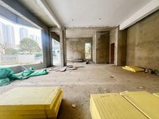 改建好大独栋,花园800平,实际房屋1000平,预留电梯井