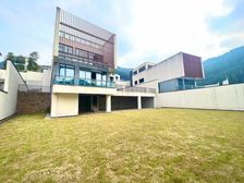 南山森林独栋临湖别墅 天然氧吧 出行便利 配套成熟