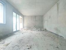 双 业主现浇已做好 南向采光好 近地铁 超低密度