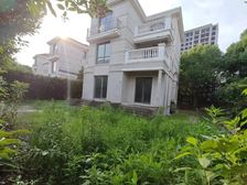爱法+18号地铁口+法式独栋别墅大花园+低于市价100万急卖