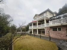 浦东大花园独栋+地铁口价格洼地+稀缺资源+绿洲千岛临河景观