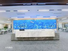 超豪华装修 深圳湾科技生态园 800平电梯口豪装带家私