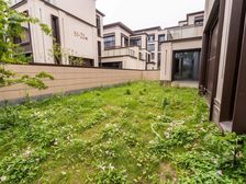 塘溪津门镇淮府边户别墅 462平5居 北向毛坯 着急出售