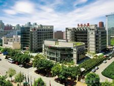 北四环望京,洛娃大厦,独栋写字楼出租!