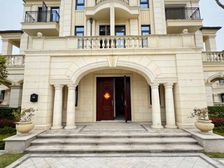 新上亏500万急售看江大独栋别墅 单层230平花园500平