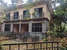 观澜湖御林山双拼别墅 业主急售 价格可谈 使用面积600平