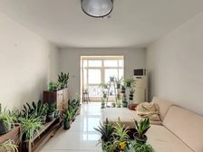 清新园 2室2厅 电梯洋房 南北全明精装 大胆给价可谈