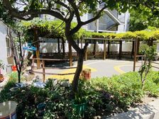 东直门独栋独门独园水电暖燃气齐全私密性佳