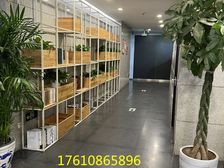 东朝时代 156平米 可定制装修 绿植覆盖率百分之50