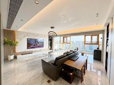 豪宅!天府一街,精装大平层,一梯一户,朝南视野好,可再议价