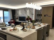 万科璞园 小区看得见,双轻轨物业