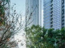 抵款房!!!冉家坝天际大平层 豪华装修 来福士同款开发商