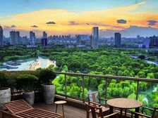 急售!俯瞰十万平徐家汇公园,绝美景观,帝景苑,264平大平层
