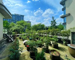 蓝光雍锦园 4室2厅 东南