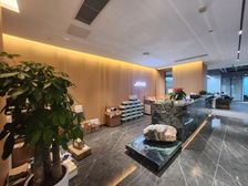 腾讯总部 大族科技中心大厦整层在租 免租12个月 景观好