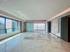 (头牌江景房)长嘉汇一线江景 豪宅大平层 急售价!