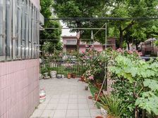 实地核验 新上 送超大花园 急售 苏州河 地铁近 钥匙房急售