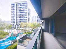 奥体中心(改善纯洋房丶现房)丶1T2南北通透丶看中庭