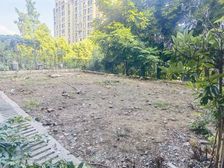 轻轨站门口!!!花园100平 、朝南看中庭、巴适惨了