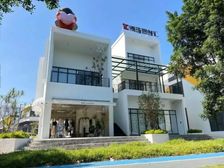 海珠大塘 独栋送车位带花园 精装500至1800方 客村大塘