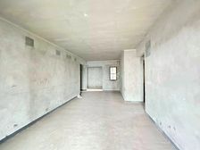 正看公园 吧树加数据谷 业主安心出售 双轻轨和龙湖天街