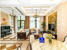 使用面积300平中央空调带地暖,豪装送储藏室送家具家电观景房