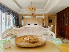 捡耙活!大顶跃!清爽装修!带屋顶花园!带露台!通车库!视野好