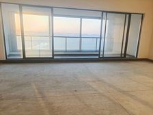 礼嘉之巅看江大平层视野开阔,业主诚售350万