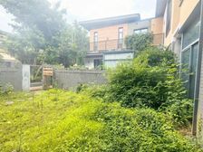 蔡家 合院别墅 带300平 花园带露台 2层楼