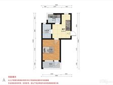 新长征花苑 46平1居 南北向精装修 视野无遮挡