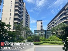 双节特价 海口江东(雍景云龙湾)103平米三房 特价102万