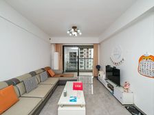 急 再降价15 租金抵月供 稳定租客长 楼层好楼下是跨市公交