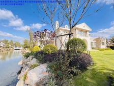 真急卖!临河好位置好户型2023年紫都晶园3期独栋毛坯大花园