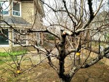 急急急!真图实.价!院2000平!碧水三期B5户型.毛坯房