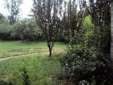 急!真图实.价!占地2700平!碧水三期龙头临湖位置!靠谱